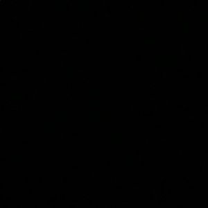 Meet your Posher, Rylie